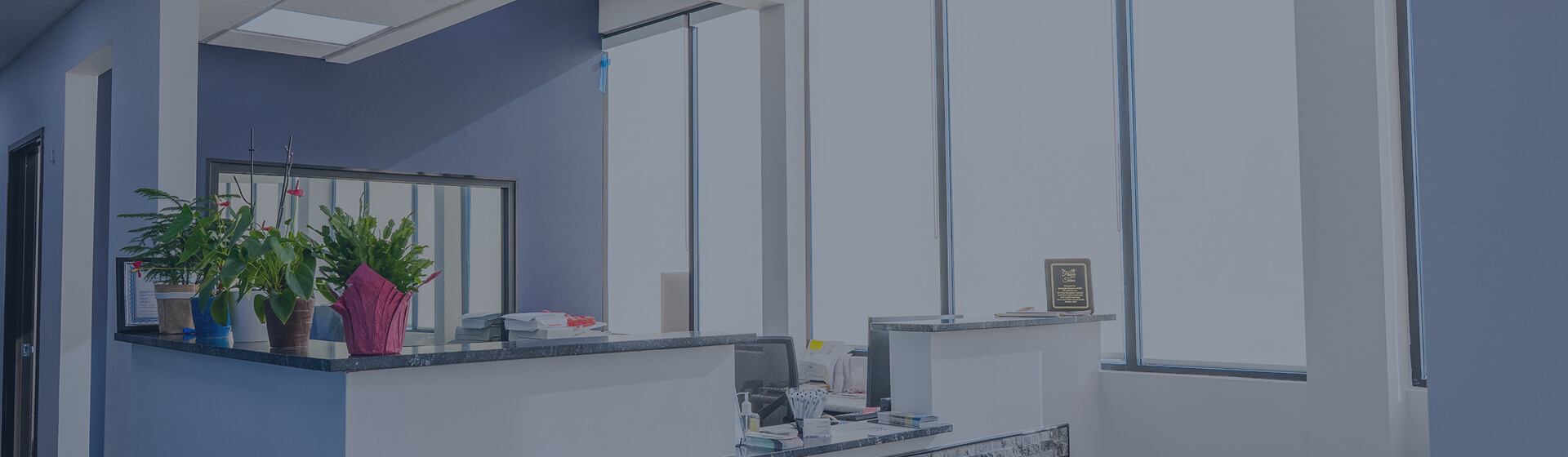 Front office at Diamond Dental Group in Denver CO