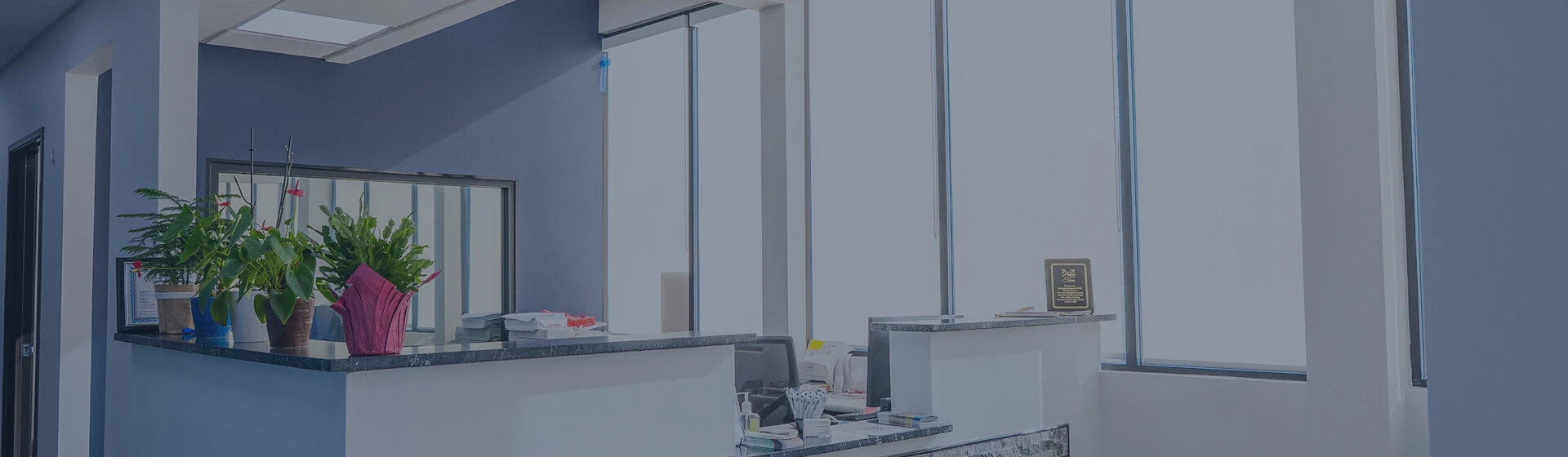 Front office at Diamond Dental Group in Denver CO